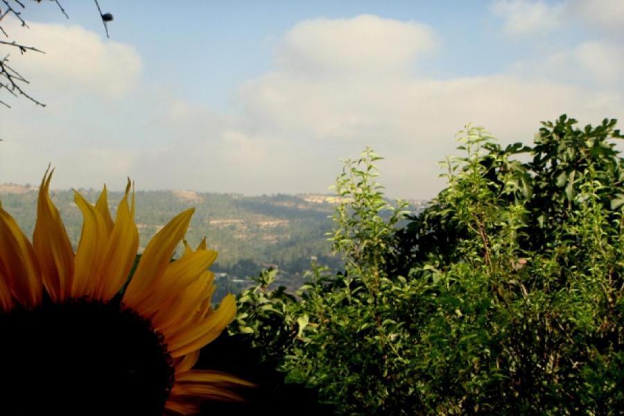 View Of The Valley Guest House Jerusalem Rom bilde