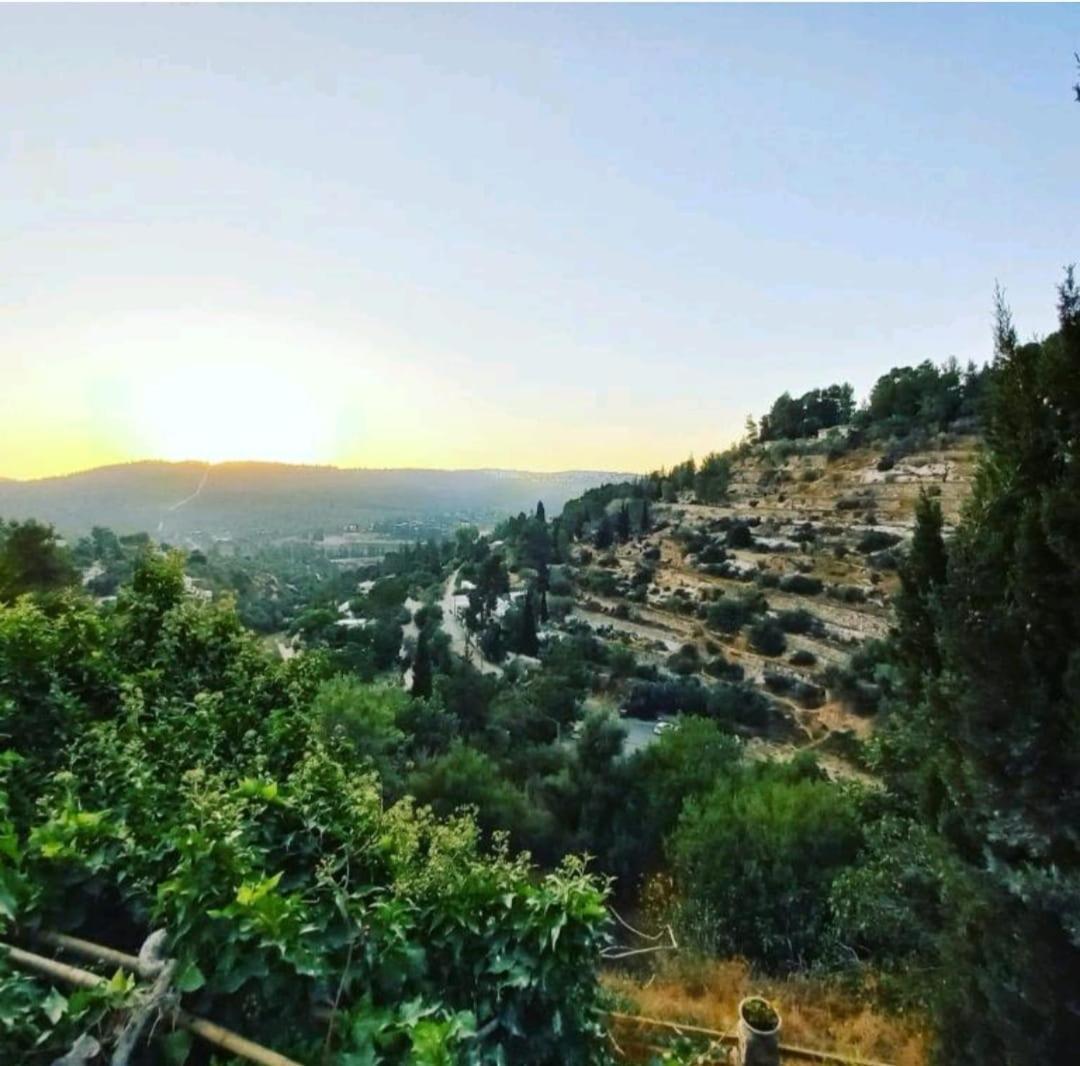 View Of The Valley Guest House Jerusalem Rom bilde