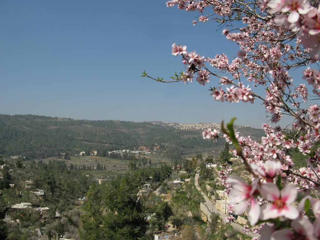 View Of The Valley Guest House Jerusalem Eksteriør bilde